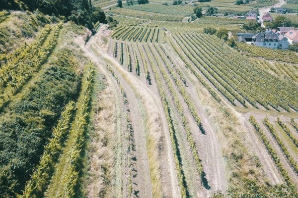 Prodej pozemku 3.596 m², Mitterarnsdorf Prodej pozemku 3.596 m², Mitterarnsdorf