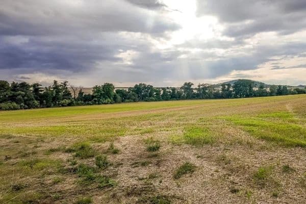 Prodej pozemku 2.077 m², Děčany Prodej pozemku 2.077 m², Děčany