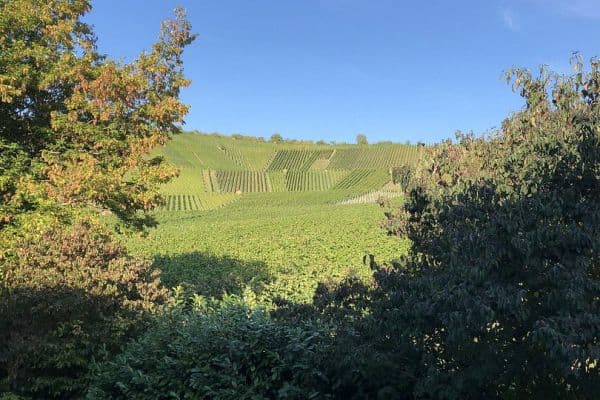 Pronájem bytu 5+1 136 m², Weinstadt Pronájem bytu 5+1 136 m², Weinstadt