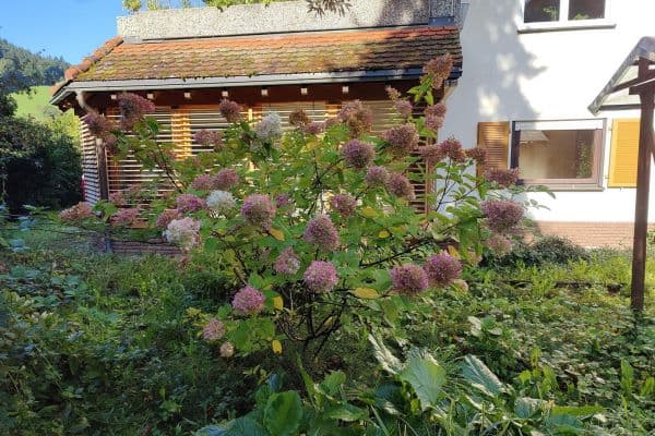 Prodej bytu 4+kk 152 m², Waldkirch Prodej bytu 4+kk 152 m², Waldkirch