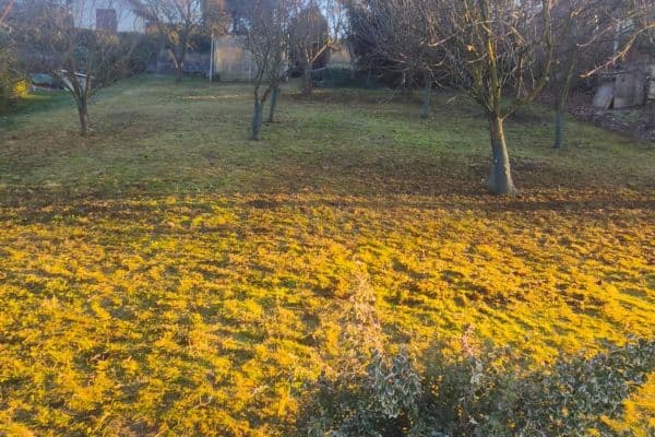 Prodej pozemku 550 m², Veltěže Prodej pozemku 550 m², Veltěže