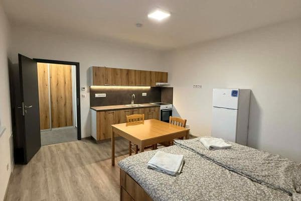Pronájem bytu 1+kk 32 m², Roudná Pronájem bytu 1+kk 32 m², Roudná