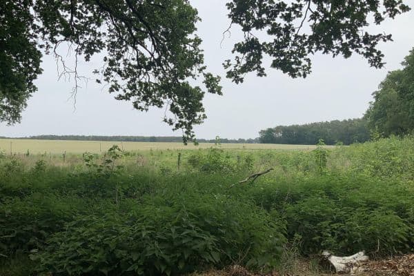 Prodej pozemku 19.700 m², Schulzendorf Prodej pozemku 19.700 m², Schulzendorf