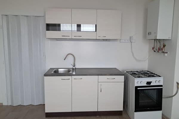 Pronájem bytu 2+1 64 m², Srbská, Brno Pronájem bytu 2+1 64 m², Srbská, Brno