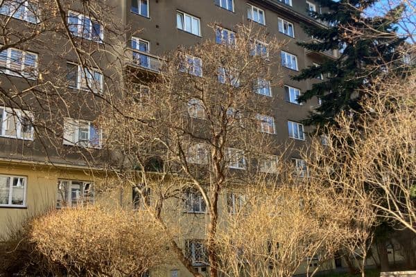 Pronájem bytu 3+1 72 m², Lvovská, Praha Pronájem bytu 3+1 72 m², Lvovská, Praha