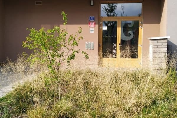 Pronájem bytu 1+kk 34 m², Waltariho, Praha Pronájem bytu 1+kk 34 m², Waltariho, Praha