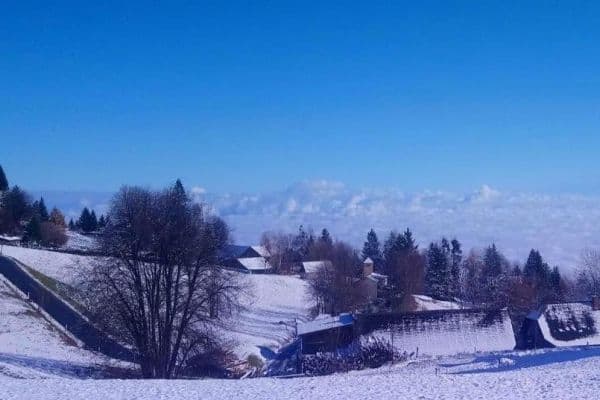 Prodej domu Prodej domu