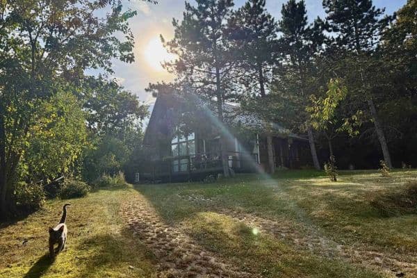 Pronájem chaty, chalupy, Velká Lečice Pronájem chaty, chalupy, Velká Lečice