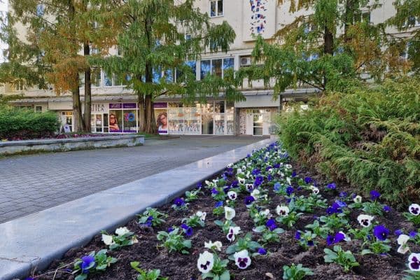 Pronájem nebytového prostoru 66 m², nám. Republiky, Havířov, Moravskoslezský kraj Pronájem nebytového prostoru 66 m², nám. Republiky, Havířov, Moravskoslezský kraj