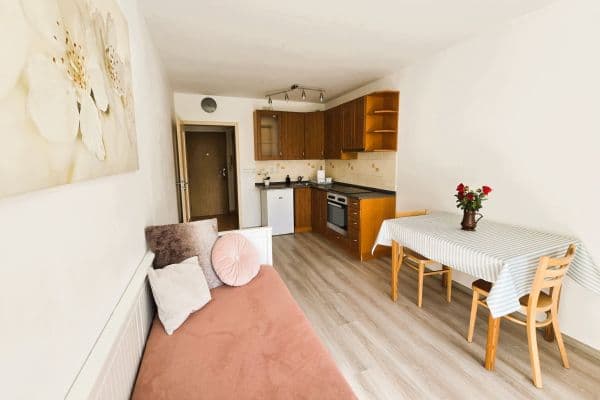 Prodej bytu 1+kk 25 m², Vánková, Praha Prodej bytu 1+kk 25 m², Vánková, Praha