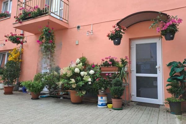 Pronájem bytu 2+1 45 m², Masarykovo nám., Přeštice, Plzeňský kraj Pronájem bytu 2+1 45 m², Masarykovo nám., Přeštice, Plzeňský kraj