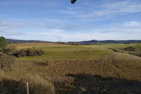 Prodej domu 79 m², pozemek 878 m², Epfendorf Prodej domu 79 m², pozemek 878 m², Epfendorf