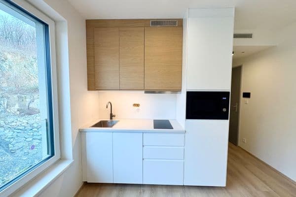 Pronájem bytu 1+kk 25 m², Bystrcká, Brno Pronájem bytu 1+kk 25 m², Bystrcká, Brno