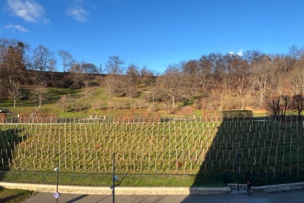 Pronájem bytu 2+kk 41 m², Tachovské náměstí, Praha Pronájem bytu 2+kk 41 m², Tachovské náměstí, Praha