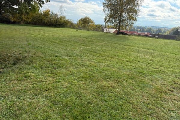 Prodej pozemku 1.131 m², Borovany Prodej pozemku 1.131 m², Borovany