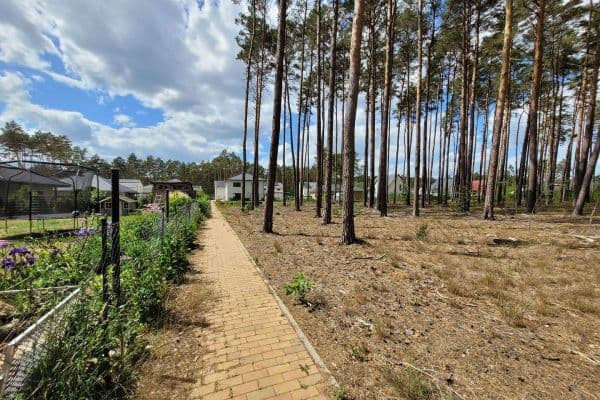 Prodej pozemku 1.081 m², Olof Palme Ring, Borkwalde Prodej pozemku 1.081 m², Olof Palme Ring, Borkwalde