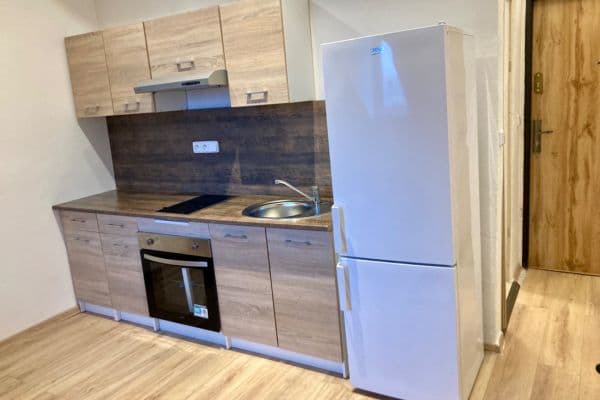 Pronájem bytu 1+kk 19 m², Svahová, Karlovy Vary Pronájem bytu 1+kk 19 m², Svahová, Karlovy Vary