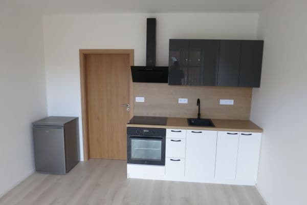 Pronájem bytu 1+kk 29 m², Dornych, Brno Pronájem bytu 1+kk 29 m², Dornych, Brno