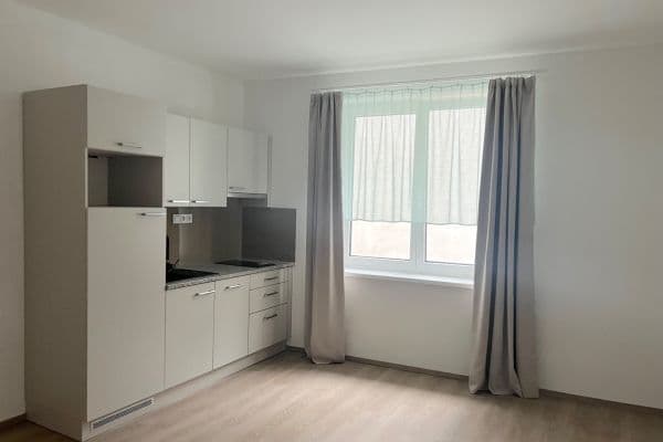 Pronájem bytu 1+kk 30 m², Puškinova, Plzeň, Plzeňský kraj Pronájem bytu 1+kk 30 m², Puškinova, Plzeň, Plzeňský kraj