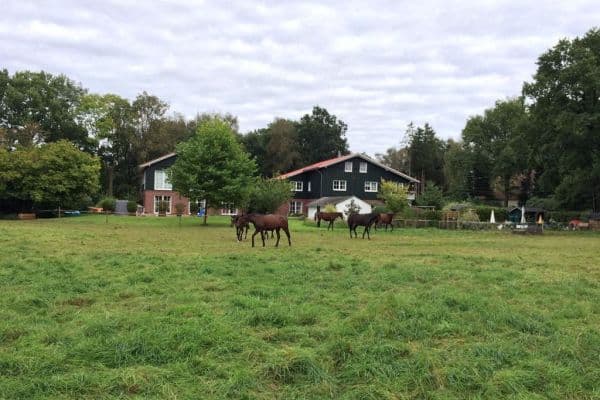 Pronájem bytu 4+1 140 m², Liether Moor 9, Klein Nordende Pronájem bytu 4+1 140 m², Liether Moor 9, Klein Nordende