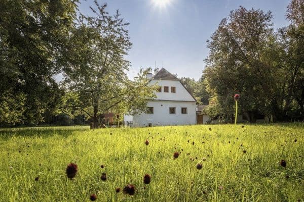 Pronájem chaty, chalupy, Mladošovice - Petrovice Pronájem chaty, chalupy, Mladošovice - Petrovice