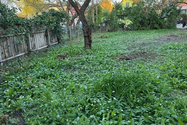 Prodej pozemku 493 m², Wien Prodej pozemku 493 m², Wien