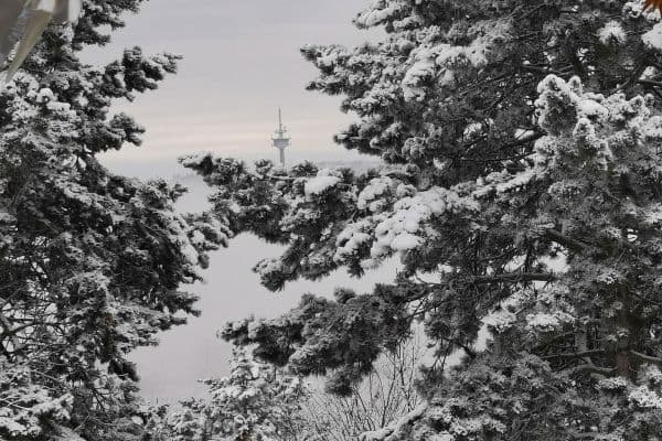 Prodej domu 493 m², pozemek 1.531 m², Glashütten Prodej domu 493 m², pozemek 1.531 m², Glashütten