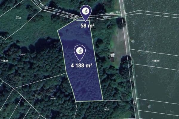 Prodej pozemku 4.246 m², Choryně Prodej pozemku 4.246 m², Choryně