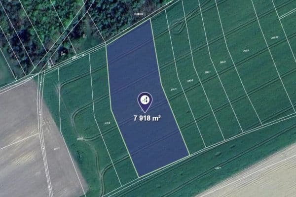 Prodej pozemku 7.918 m², Hřebečníky Prodej pozemku 7.918 m², Hřebečníky