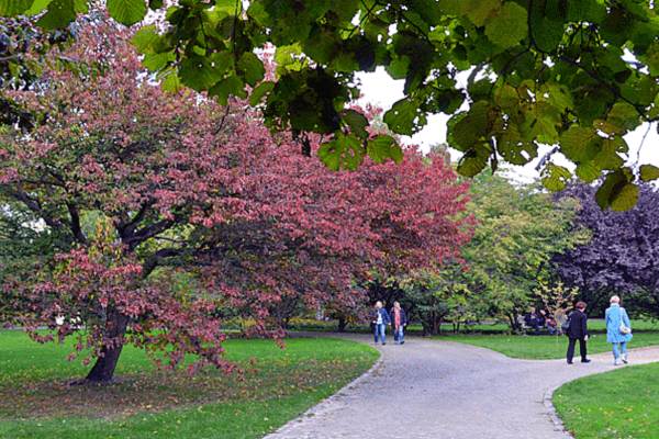 Prodej bytu 4+1 146 m², Prinzregentenstr., Berlin, Berlín Prodej bytu 4+1 146 m², Prinzregentenstr., Berlin, Berlín