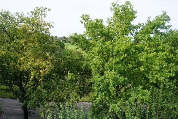 Prodej bytu 2+1 58 m², Kiebitzweg 16, Kirchheim Teck Prodej bytu 2+1 58 m², Kiebitzweg 16, Kirchheim Teck