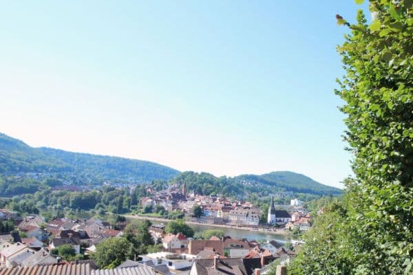 Prodej pozemku 968 m², In den Wingert 20, Neckargemünd Prodej pozemku 968 m², In den Wingert 20, Neckargemünd