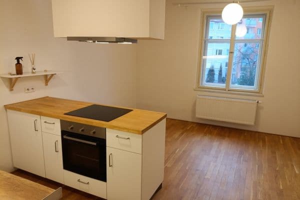 Pronájem bytu 2+kk 43 m², U Kněžské louky, Praha Pronájem bytu 2+kk 43 m², U Kněžské louky, Praha