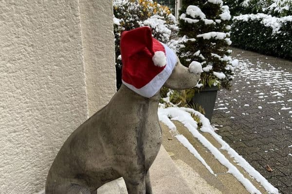 Pronájem kanceláře 75 m², Robert-Heuser-Str. 15, Köln, Severní Porýní-Vestfálsko Pronájem kanceláře 75 m², Robert-Heuser-Str. 15, Köln, Severní Porýní-Vestfálsko