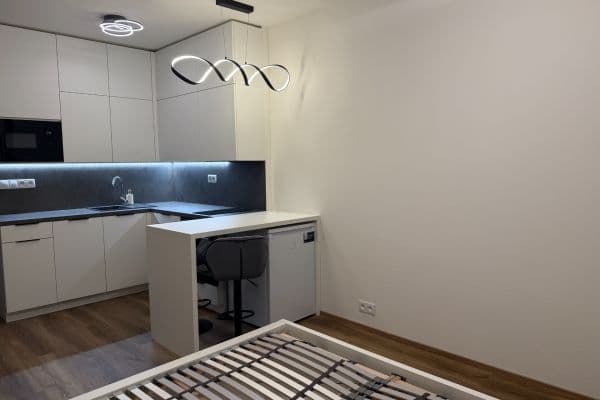 Pronájem bytu 1+kk 29 m², 3846, Brno Pronájem bytu 1+kk 29 m², 3846, Brno
