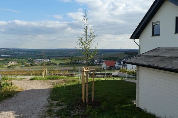 Pronájem domu 219 m², pozemek 300 m², Essenheim Pronájem domu 219 m², pozemek 300 m², Essenheim