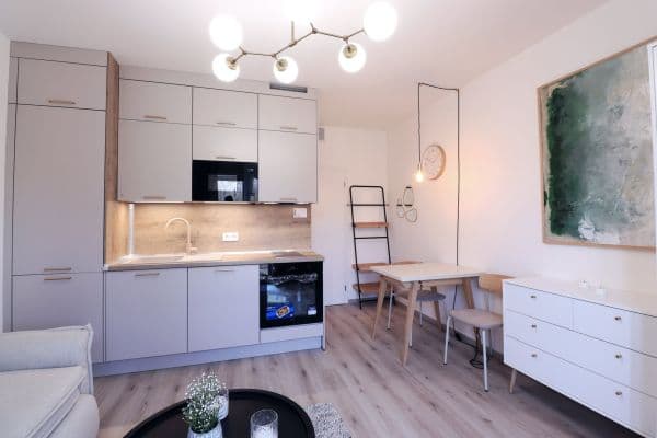 Pronájem bytu 1+kk 22 m², V Kněžívce, Pronájem bytu 1+kk 22 m², V Kněžívce,