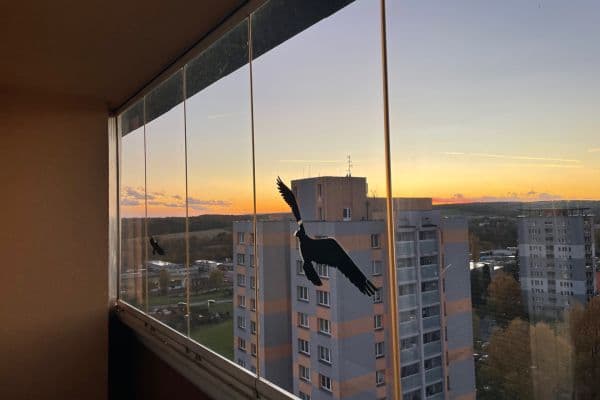 Prodej bytu 1+kk 31 m², Francouzská, Ostrava Prodej bytu 1+kk 31 m², Francouzská, Ostrava