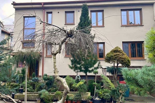 Pronájem chaty, chalupy, Nymburk Pronájem chaty, chalupy, Nymburk