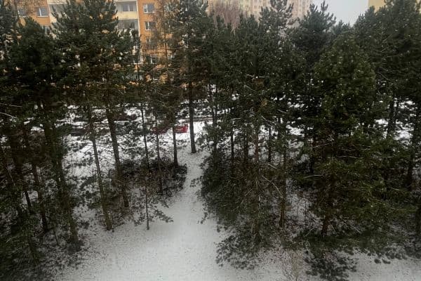 Pronájem bytu 2+1 60 m², Lýskova, Brno Pronájem bytu 2+1 60 m², Lýskova, Brno