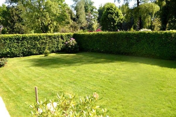 Pronájem bytu 2+1 45 m², Grillparzerweg 41, Wuppertal, Severní Porýní-Vestfálsko Pronájem bytu 2+1 45 m², Grillparzerweg 41, Wuppertal, Severní Porýní-Vestfálsko