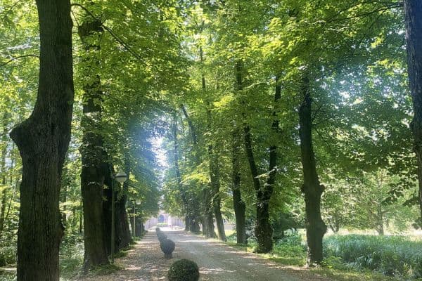 Prodej bytu 2+1 60 m², Bergheim Prodej bytu 2+1 60 m², Bergheim