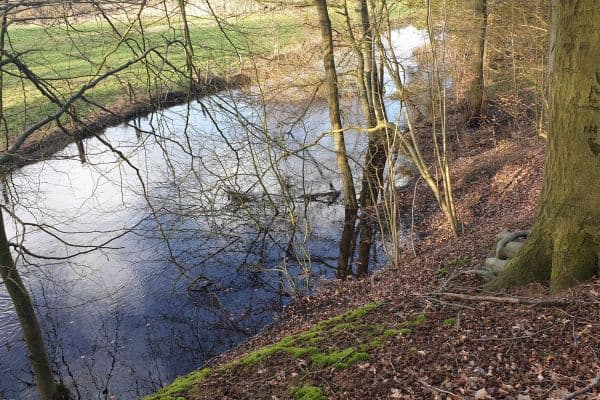 Prodej domu 120 m², pozemek 23.459 m², Ehlersberg Prodej domu 120 m², pozemek 23.459 m², Ehlersberg