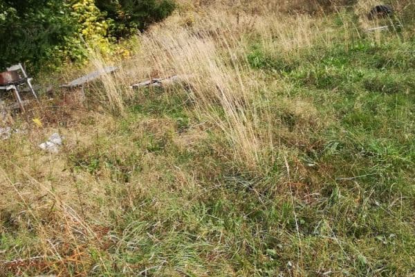 Prodej pozemku 1.034 m², Krkonošská, Desná Prodej pozemku 1.034 m², Krkonošská, Desná