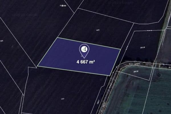 Prodej pozemku 4.667 m², Okřínek Prodej pozemku 4.667 m², Okřínek