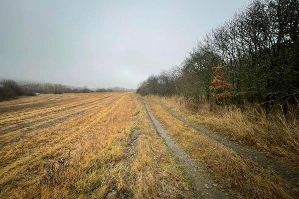 Prodej pozemku 2.496 m², Cerhovice Prodej pozemku 2.496 m², Cerhovice