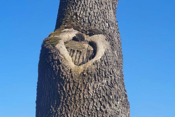 Prodej domu 250 m², pozemek 980 m², Wangen im Allgäu Prodej domu 250 m², pozemek 980 m², Wangen im Allgäu