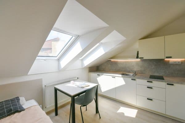 Pronájem bytu 1+kk 19 m², Na Ostrůvku, Praha Pronájem bytu 1+kk 19 m², Na Ostrůvku, Praha