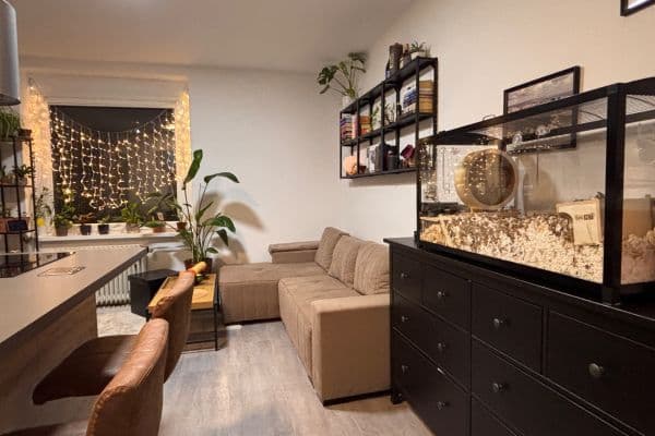 Pronájem bytu 2+1 40 m², Miletičova, Ružinov Pronájem bytu 2+1 40 m², Miletičova, Ružinov