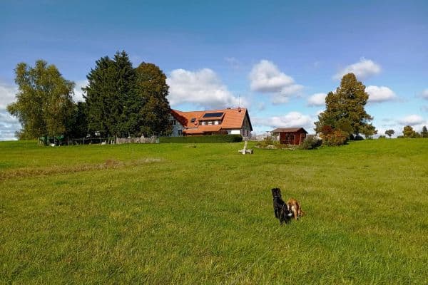 Prodej domu 390 m², pozemek 23.963 m², Rötenbach Prodej domu 390 m², pozemek 23.963 m², Rötenbach